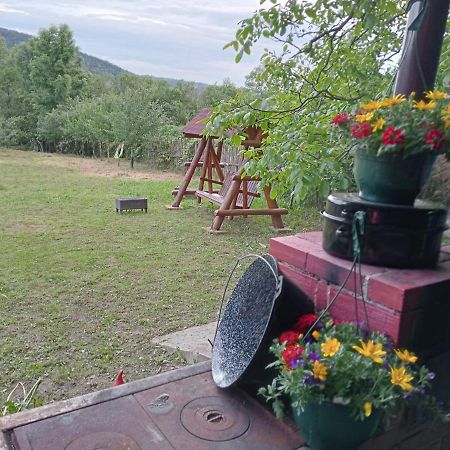 Hello Nature House - Cheile Nerei, Carasului, Garlistei Giurgiova Bagian luar foto