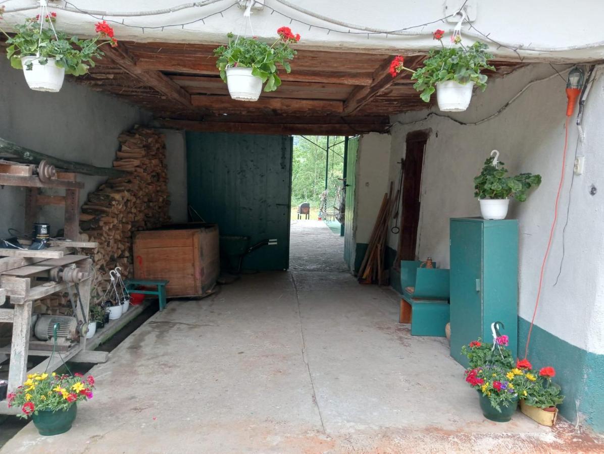 Hello Nature House - Cheile Nerei, Carasului, Garlistei Giurgiova Bagian luar foto